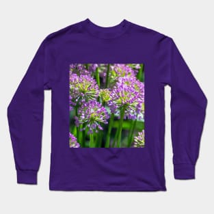 Light purple Allium flowers in a garden Long Sleeve T-Shirt